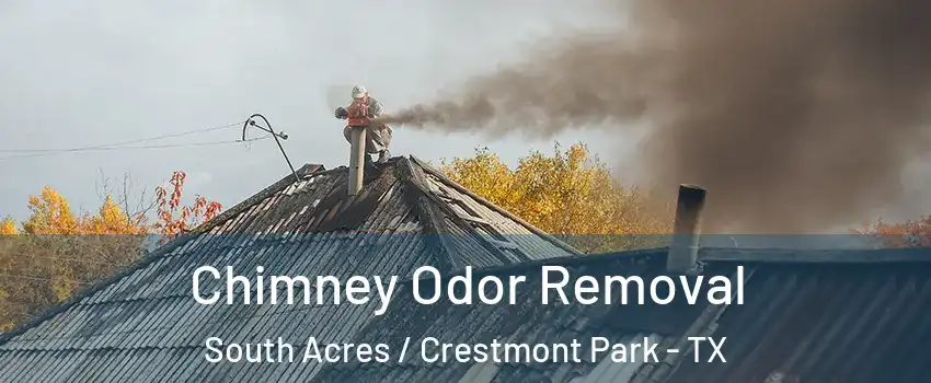 Chimney Odor Removal South Acres / Crestmont Park - TX