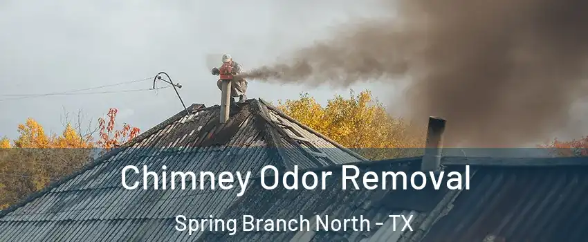 Chimney Odor Removal Spring Branch North - TX