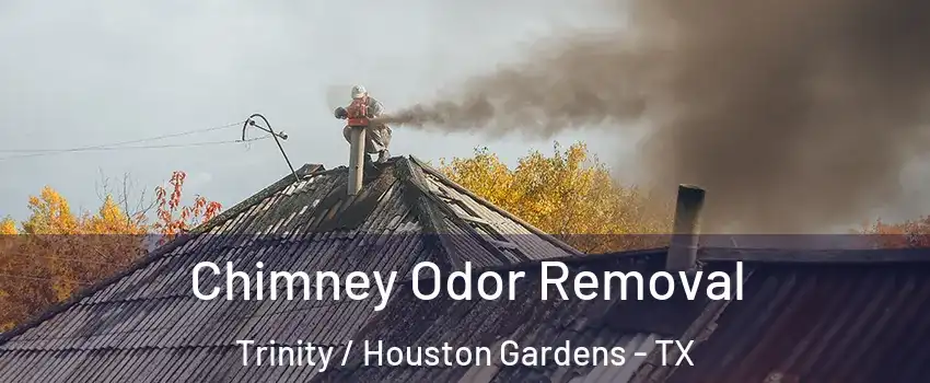 Chimney Odor Removal Trinity / Houston Gardens - TX