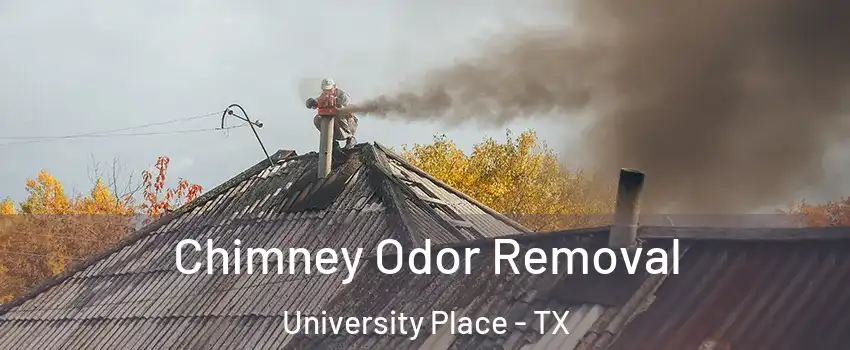 Chimney Odor Removal University Place - TX