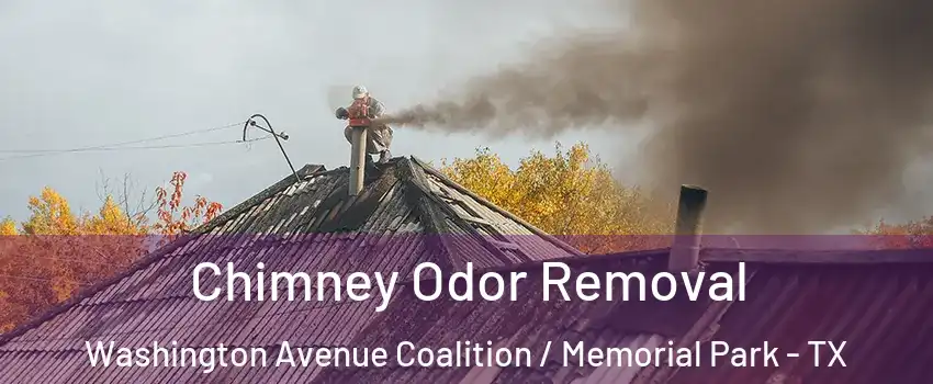 Chimney Odor Removal Washington Avenue Coalition / Memorial Park - TX