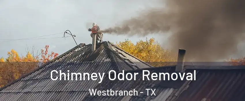 Chimney Odor Removal Westbranch - TX