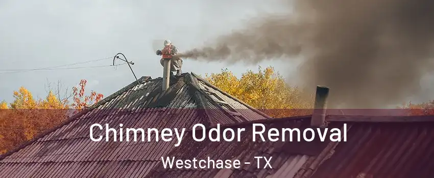 Chimney Odor Removal Westchase - TX