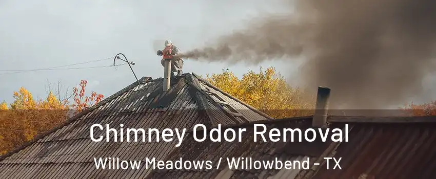 Chimney Odor Removal Willow Meadows / Willowbend - TX