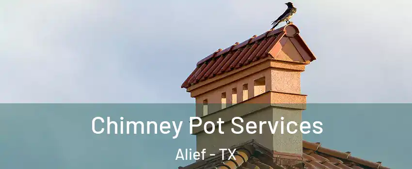 Chimney Pot Services Alief - TX