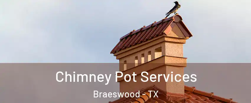 Chimney Pot Services Braeswood - TX