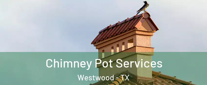 Chimney Pot Services Westwood - TX