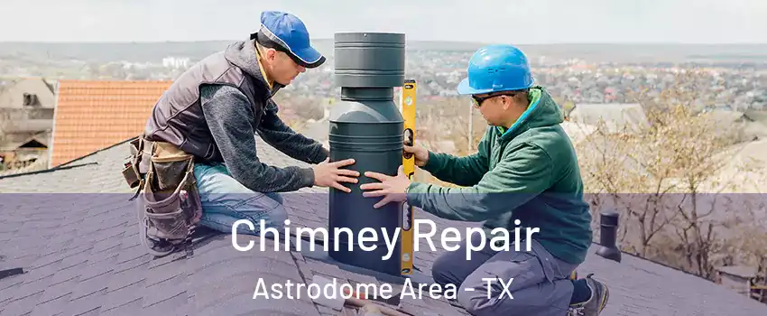Chimney Repair Astrodome Area - TX