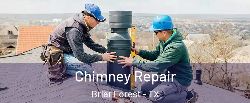 Chimney Repair Briar Forest - TX