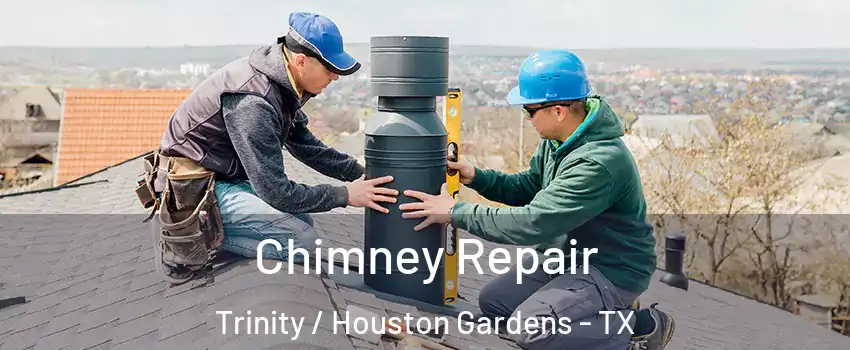 Chimney Repair Trinity / Houston Gardens - TX
