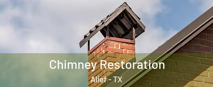 Chimney Restoration Alief - TX