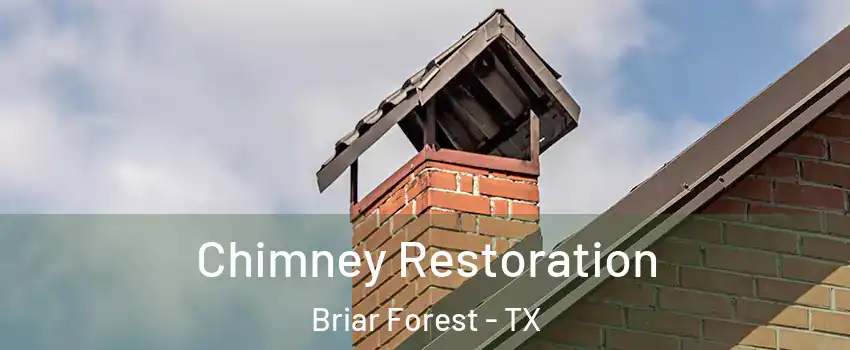 Chimney Restoration Briar Forest - TX