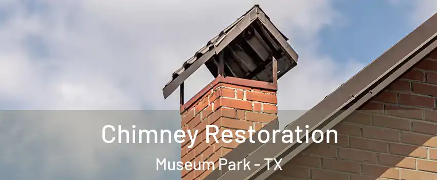 Chimney Restoration Museum Park - TX