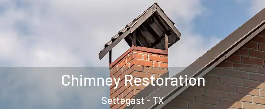 Chimney Restoration Settegast - TX