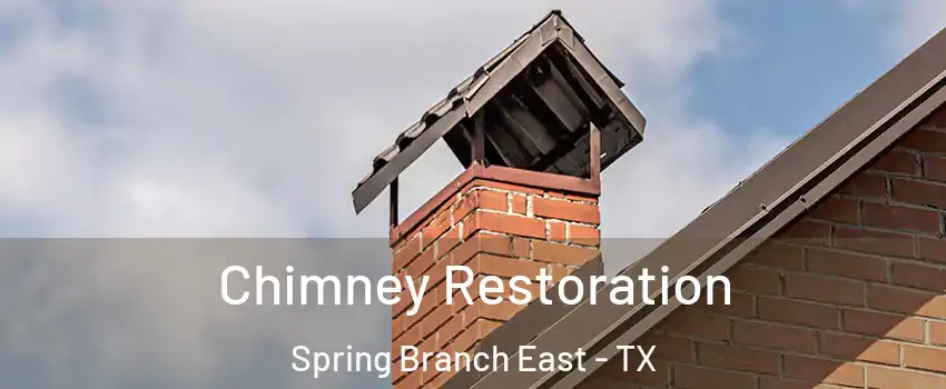 Chimney Restoration Spring Branch East - TX