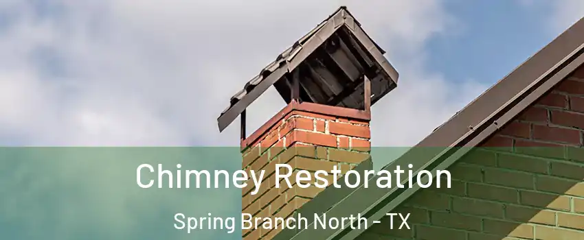 Chimney Restoration Spring Branch North - TX