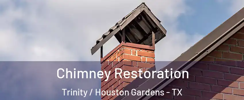 Chimney Restoration Trinity / Houston Gardens - TX