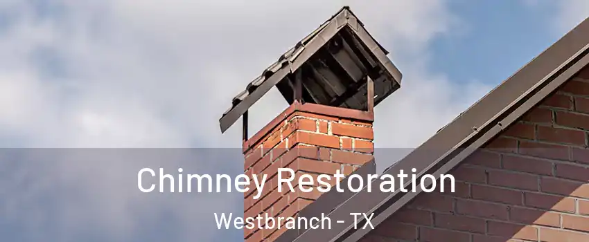 Chimney Restoration Westbranch - TX