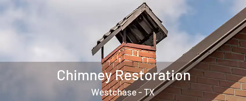 Chimney Restoration Westchase - TX