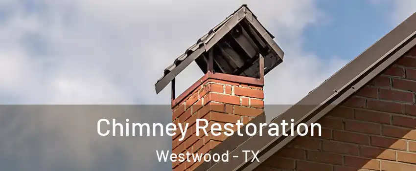 Chimney Restoration Westwood - TX