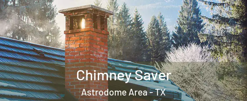 Chimney Saver Astrodome Area - TX