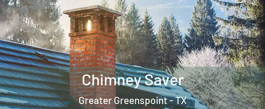 Chimney Saver Greater Greenspoint - TX