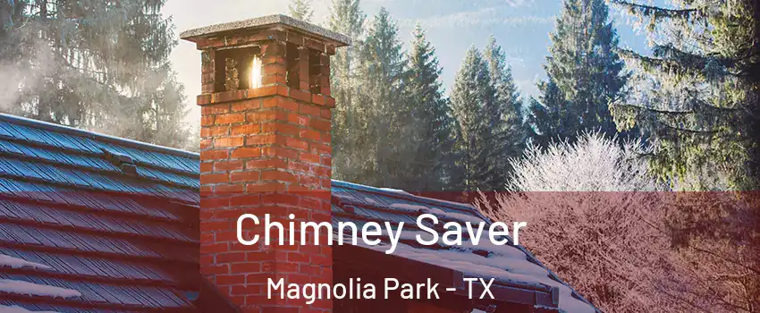 Chimney Saver Magnolia Park - TX