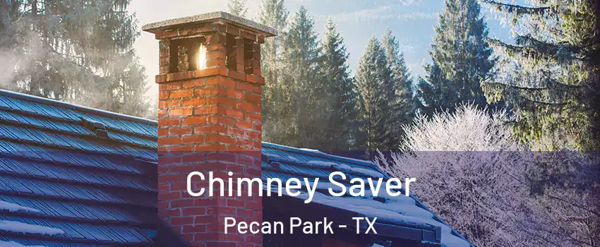 Chimney Saver Pecan Park - TX