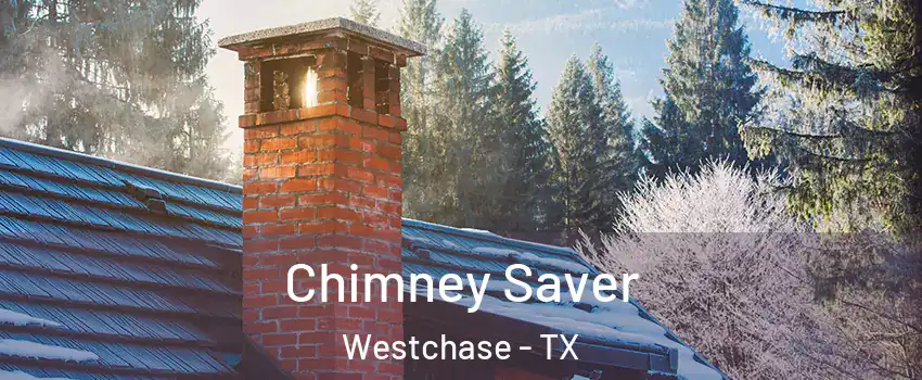 Chimney Saver Westchase - TX