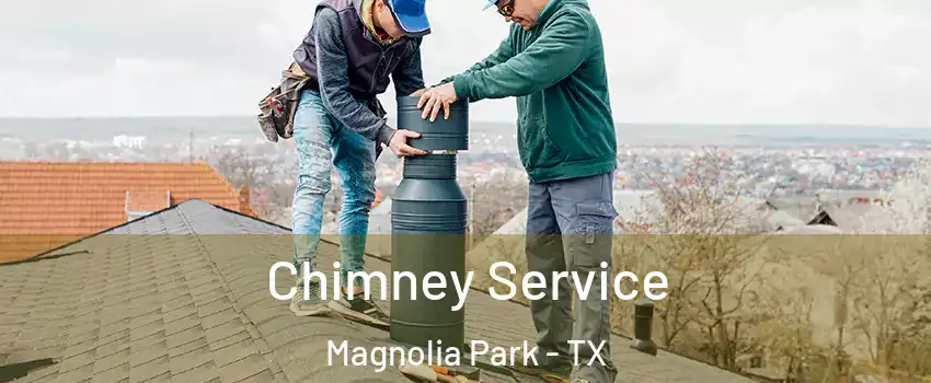 Chimney Service Magnolia Park - TX