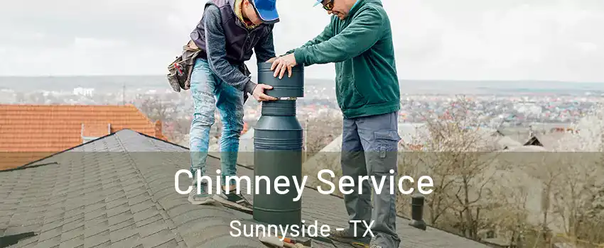 Chimney Service Sunnyside - TX