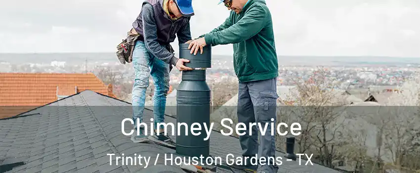 Chimney Service Trinity / Houston Gardens - TX