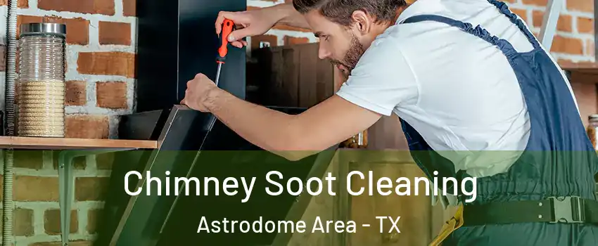 Chimney Soot Cleaning Astrodome Area - TX