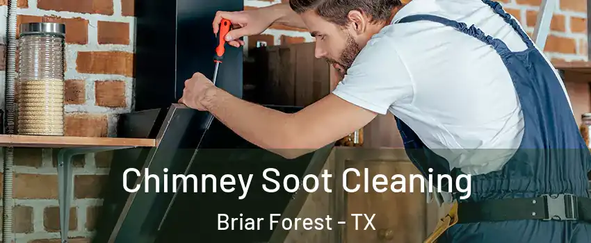 Chimney Soot Cleaning Briar Forest - TX