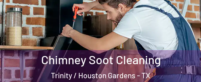 Chimney Soot Cleaning Trinity / Houston Gardens - TX