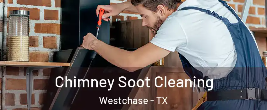 Chimney Soot Cleaning Westchase - TX