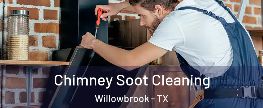 Chimney Soot Cleaning Willowbrook - TX