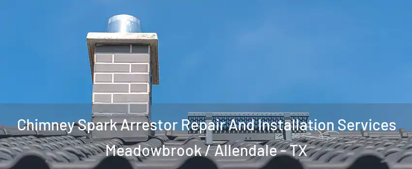 Chimney Spark Arrestor Repair And Installation Services Meadowbrook / Allendale - TX