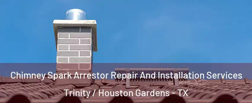 Chimney Spark Arrestor Repair And Installation Services Trinity / Houston Gardens - TX