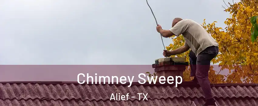 Chimney Sweep Alief - TX