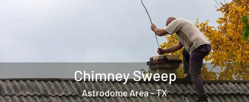 Chimney Sweep Astrodome Area - TX