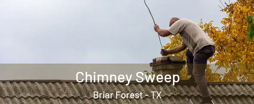 Chimney Sweep Briar Forest - TX