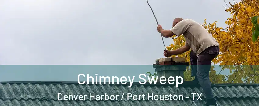 Chimney Sweep Denver Harbor / Port Houston - TX
