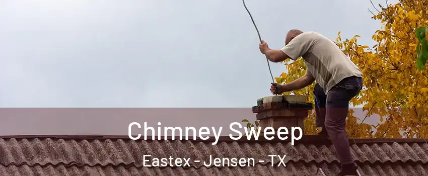 Chimney Sweep Eastex - Jensen - TX