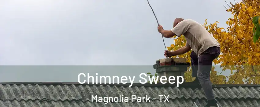 Chimney Sweep Magnolia Park - TX