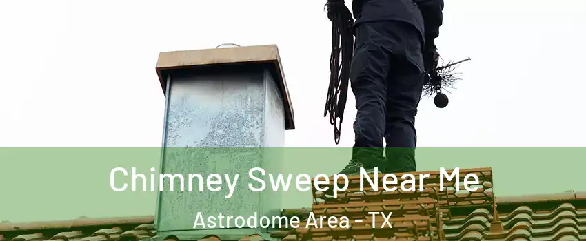 Chimney Sweep Near Me Astrodome Area - TX