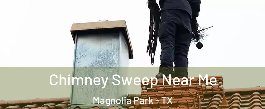 Chimney Sweep Near Me Magnolia Park - TX