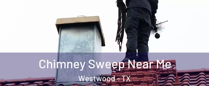 Chimney Sweep Near Me Westwood - TX