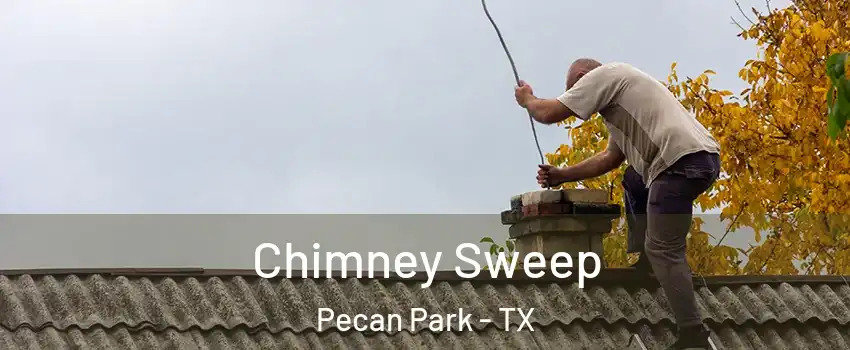 Chimney Sweep Pecan Park - TX