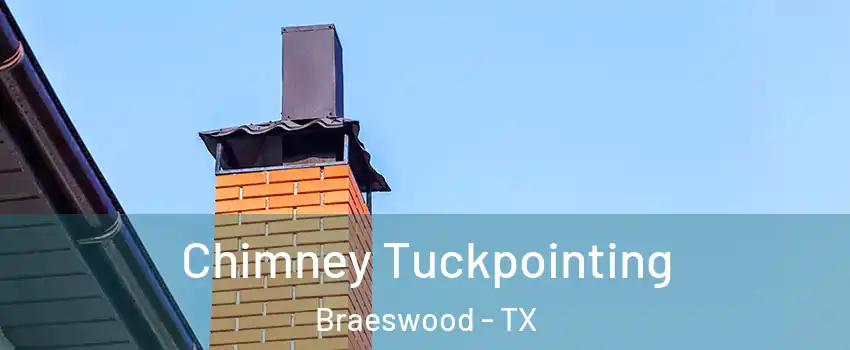 Chimney Tuckpointing Braeswood - TX
